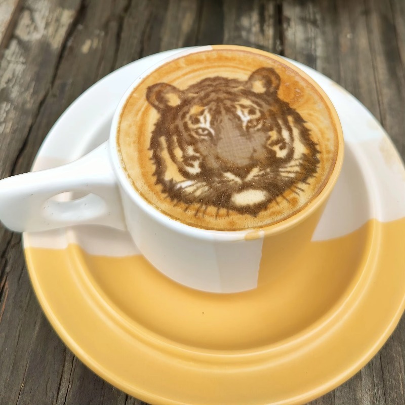 Nova Tendência em Equipamentos - Coffee Equipment And Supplies avaliação e preço